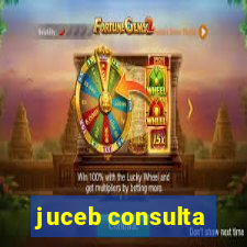 juceb consulta